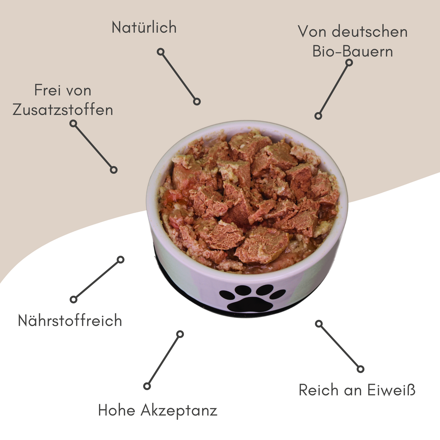 Bio-Diätfutter bei Magen- & Darmerkrankungen für Hunde