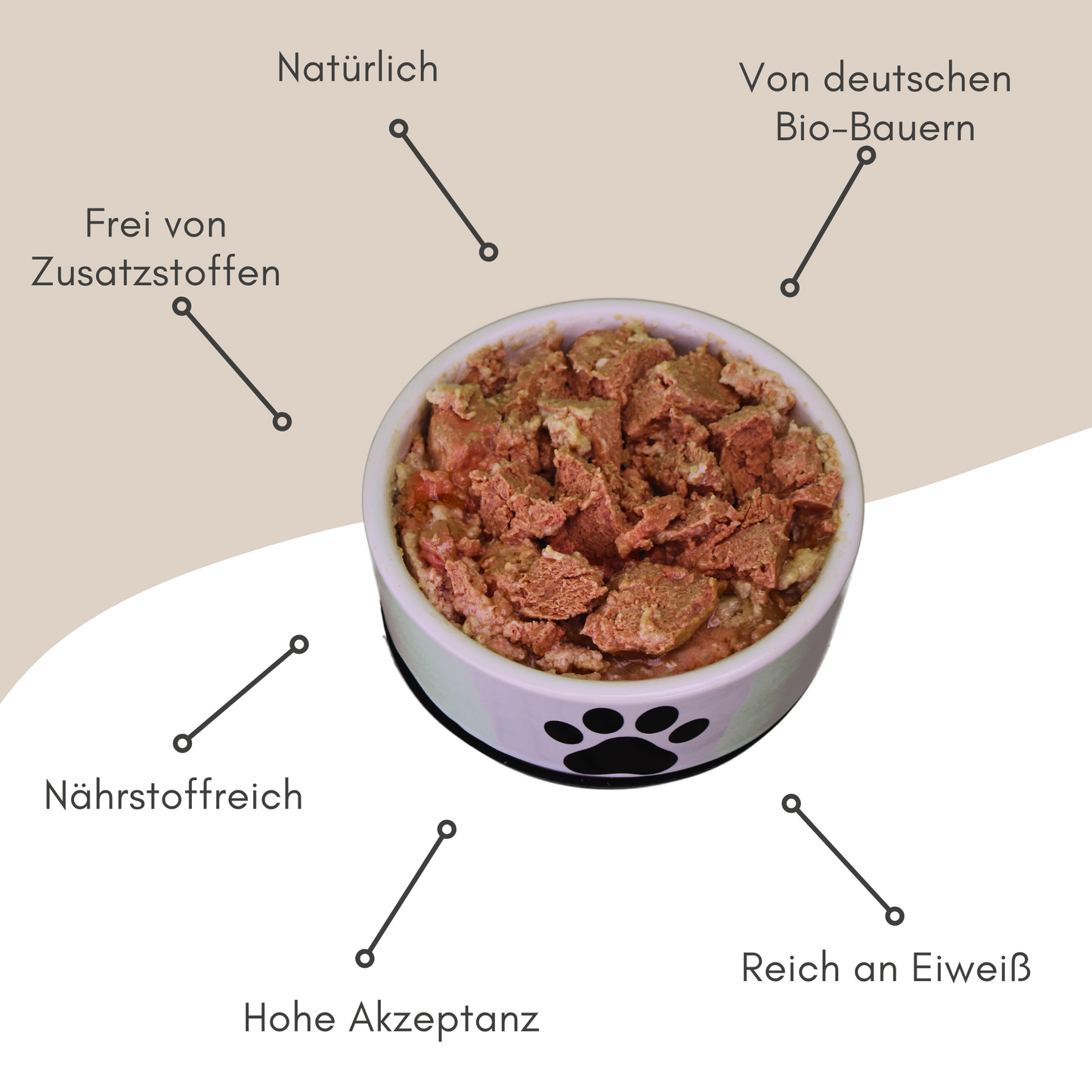 Bio-Diätfutter bei Nieren-Erkrankungen für Hunde