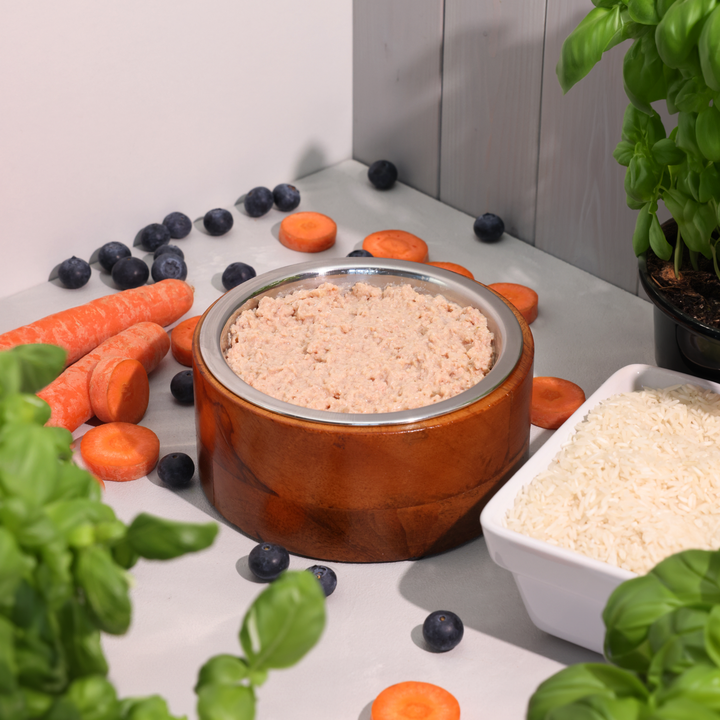 Bio-Diätfutter bei Magen- & Darmerkrankungen für Hunde