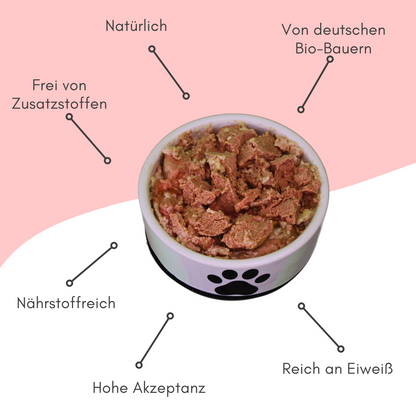 Bio-Alleinfutter - Lachs, Reis & Karotten für Hunde