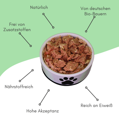 Bio-Feuchtfutter - Vegan, Reis & Karotten für Hunde