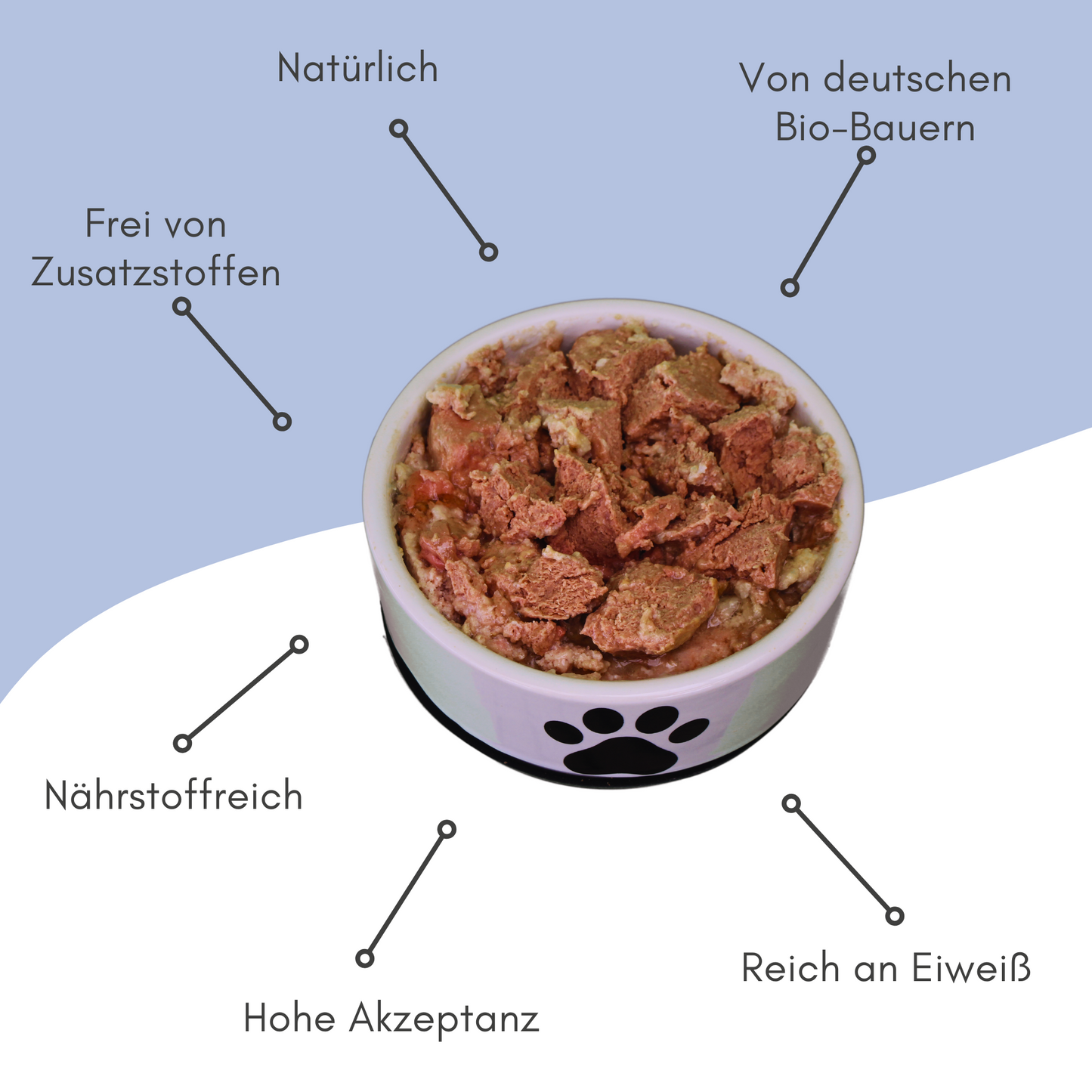 Bio-Alleinfutter Rind & Reis für Katzen