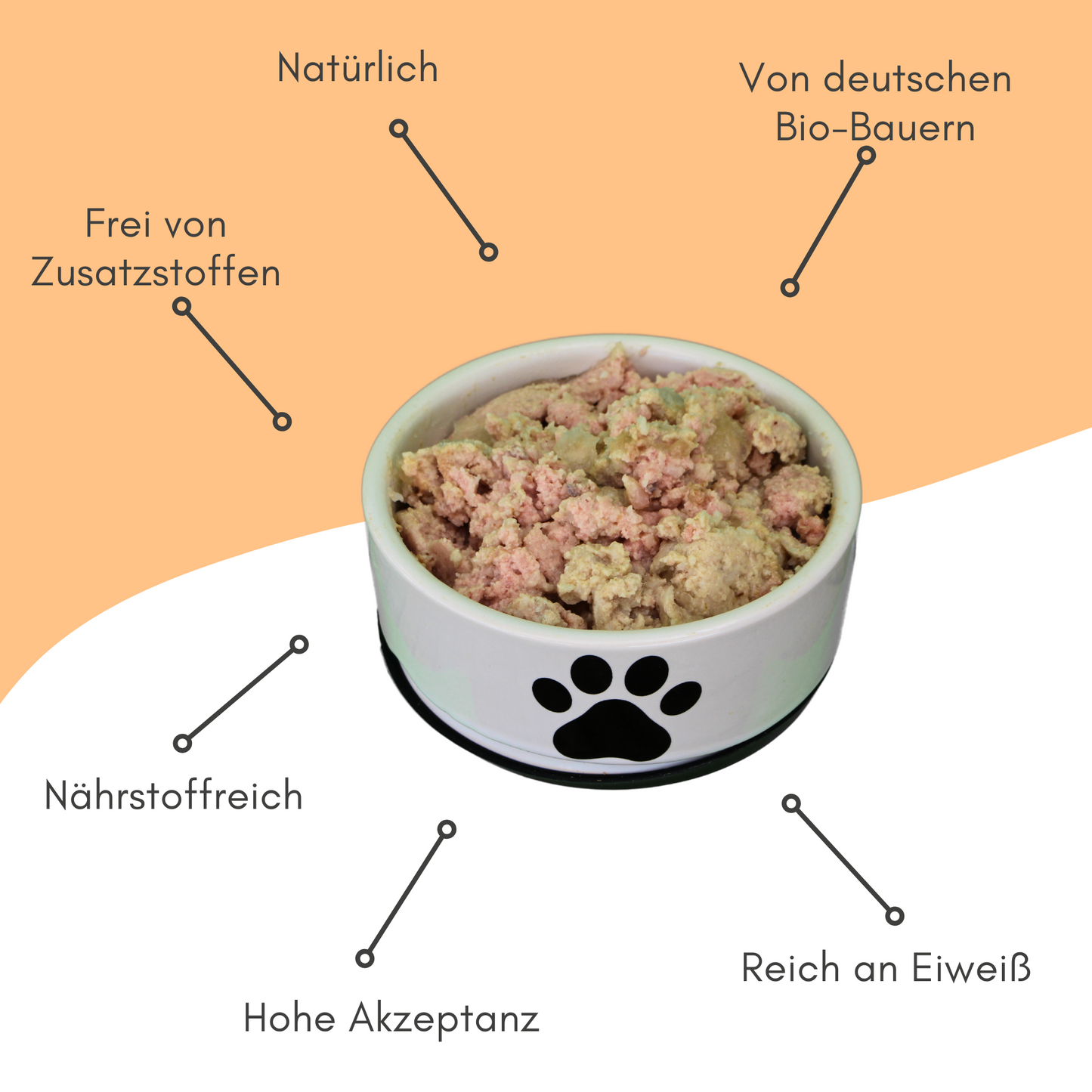 Bio-Alleinfutter - Ente, Reis & Karotten für Hunde