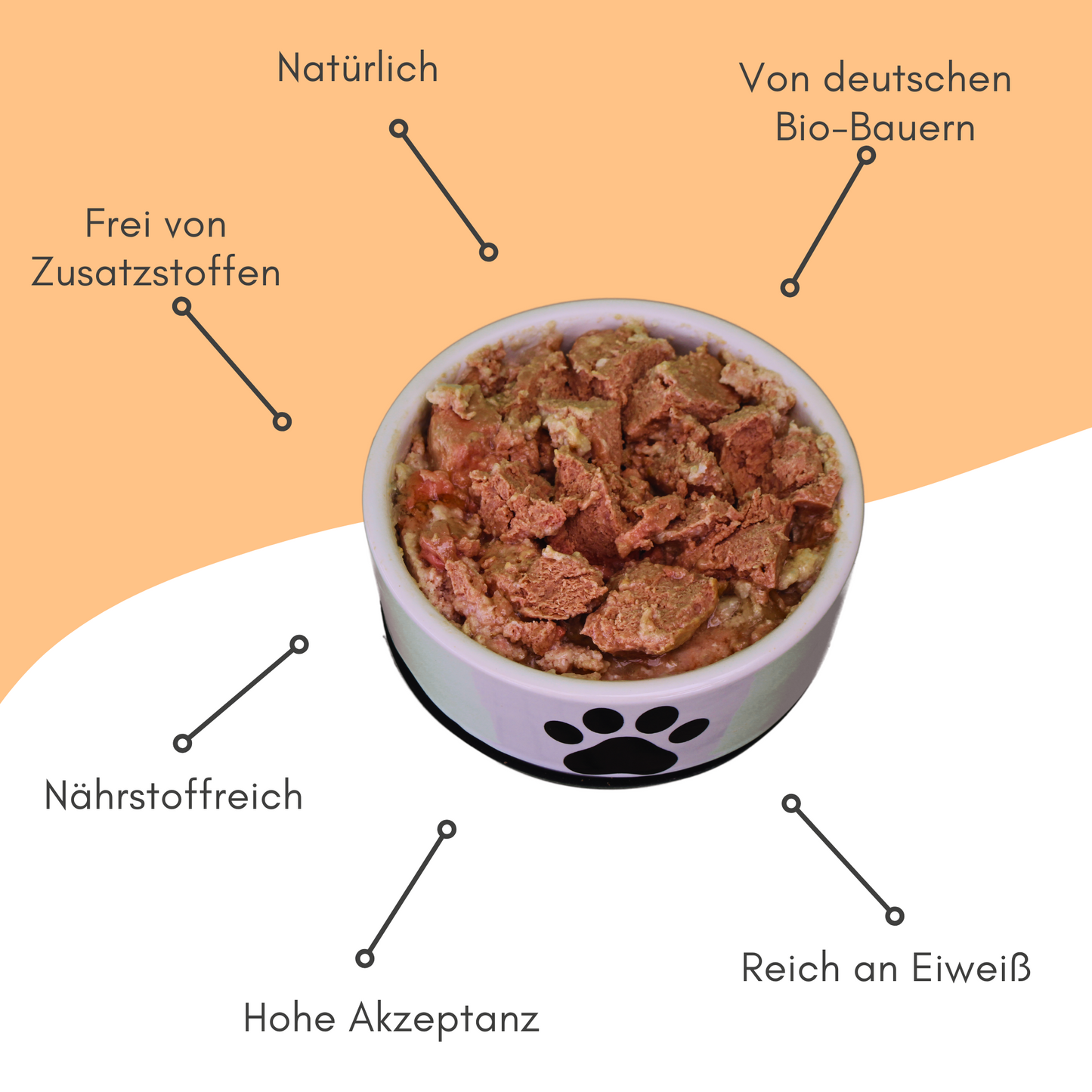 Bio-Alleinfutter Ente & Reis für Katzen