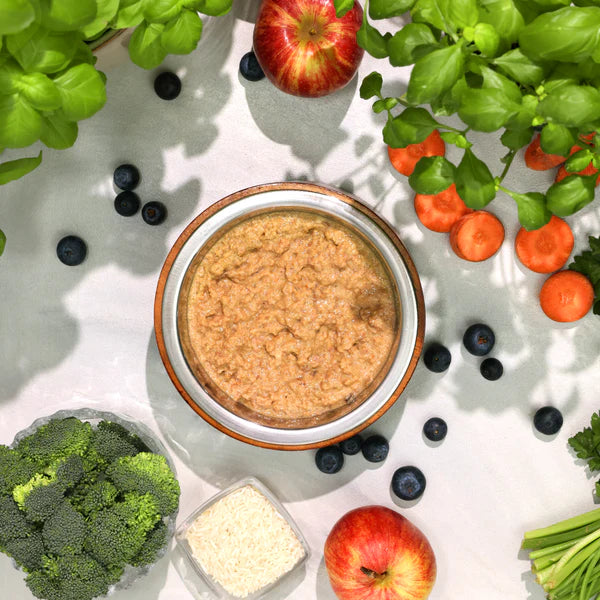 Probierset für Katzen