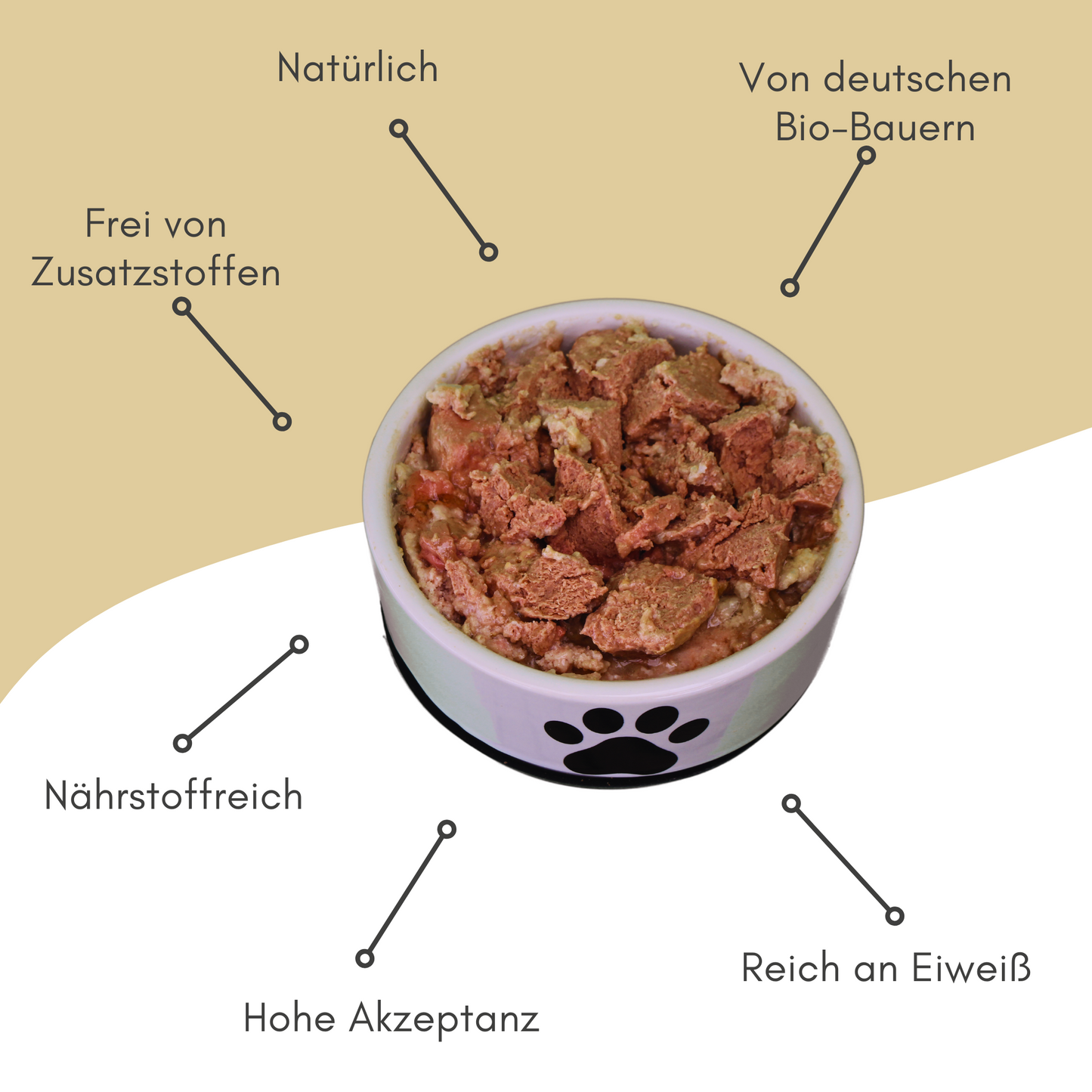 Bio-Alleinfutter Huhn & Reis für Katzen