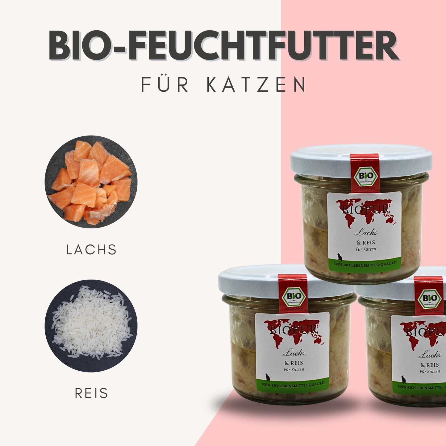 Bio-Alleinfutter Lachs & Reis für Katzen