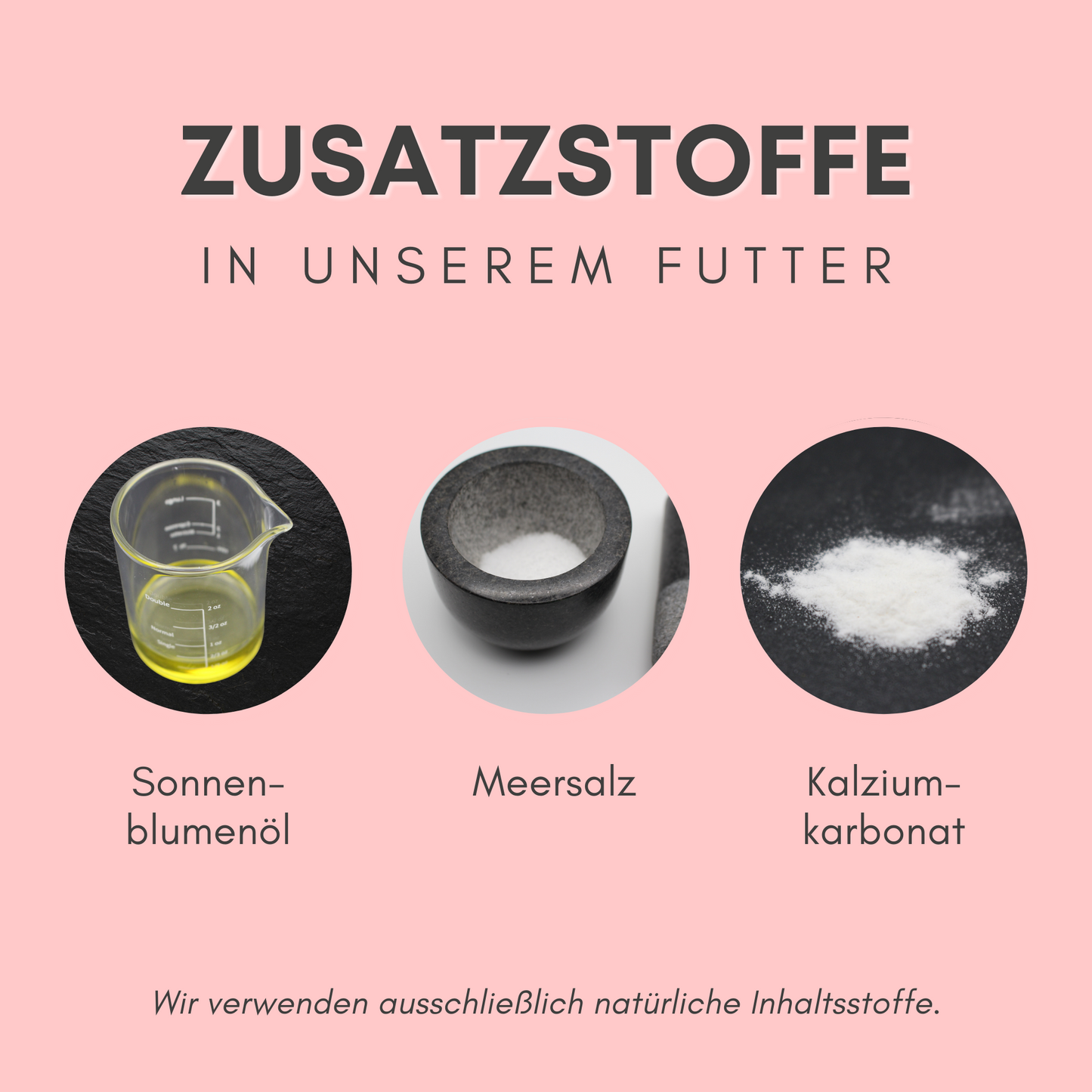 BIOPUR Bio-Katzenfutter Lachs & Reis