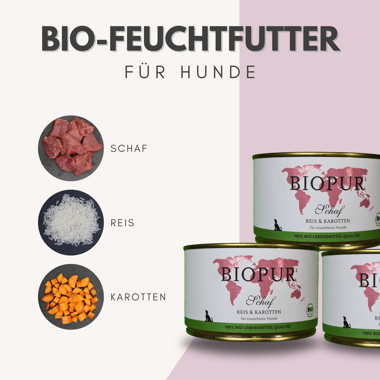 Bio-Alleinfutter - Schaf, Reis & Karotten für Hunde