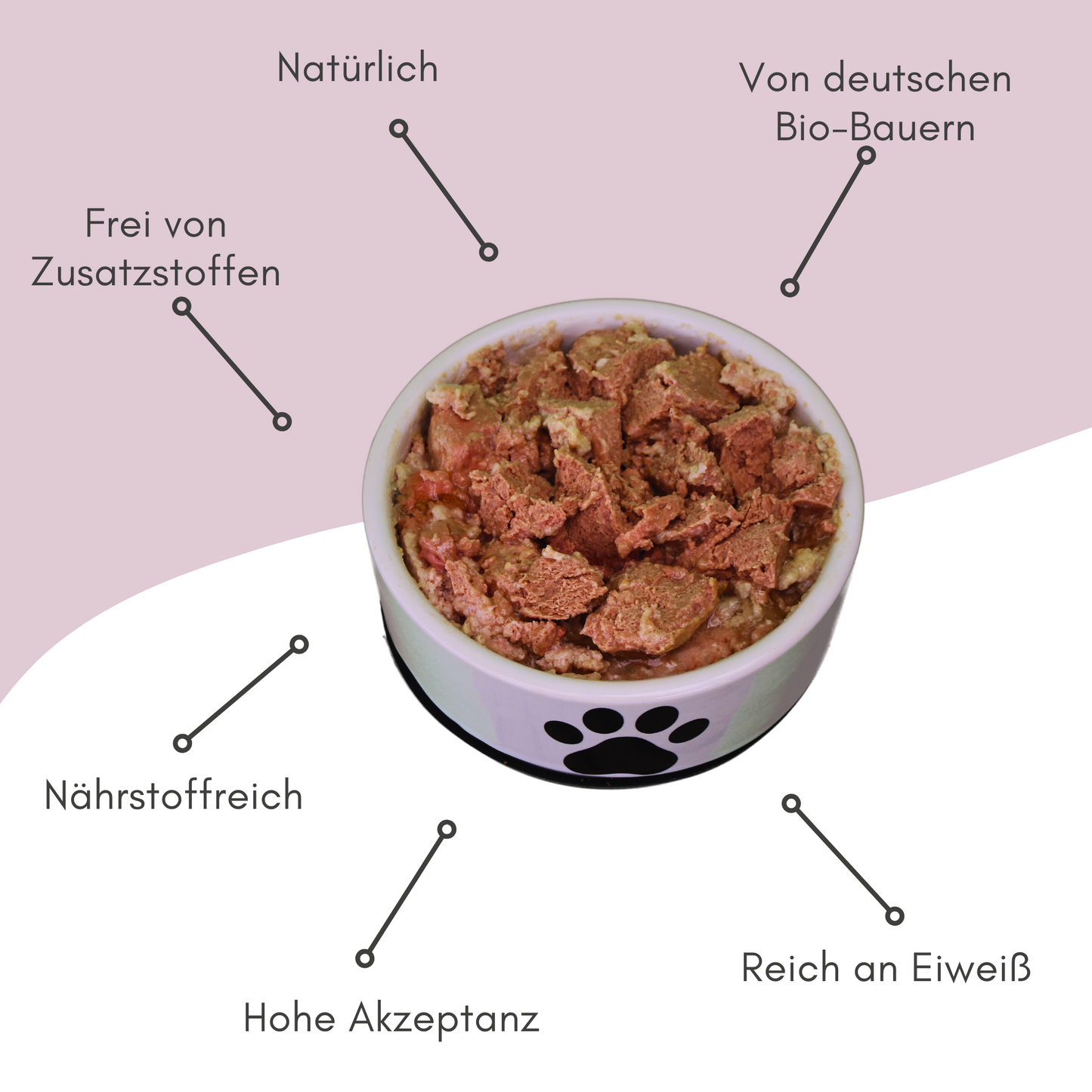 Bio-Alleinfutter - Schaf, Nudeln & Karotten für Hunde