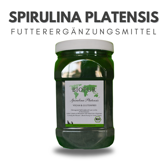 Spirulina Platensis-Pulver - BIOPUR Futterergänzungen