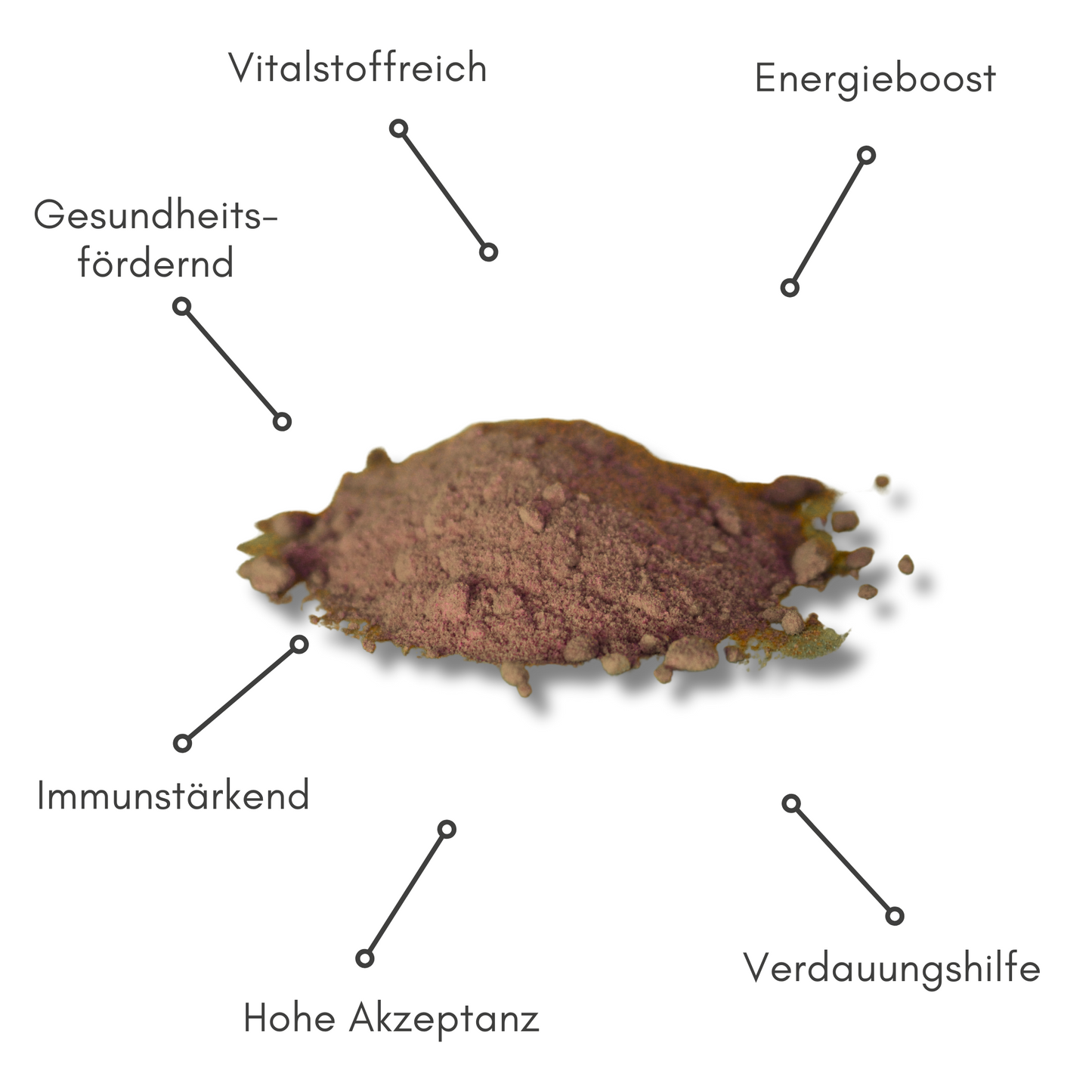 BIOPUR Hagebutten-Pulver