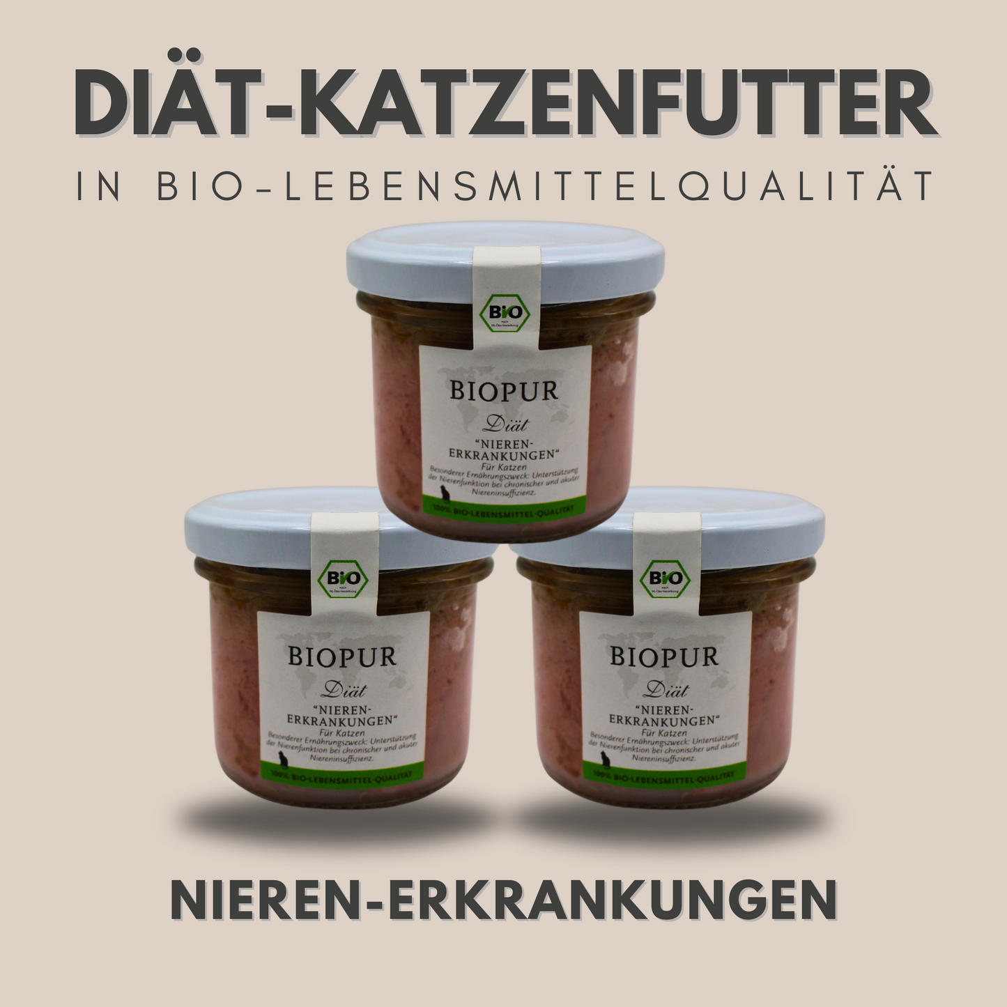 Bio-Diätfutter bei Nieren-Erkrankungen für Katzen