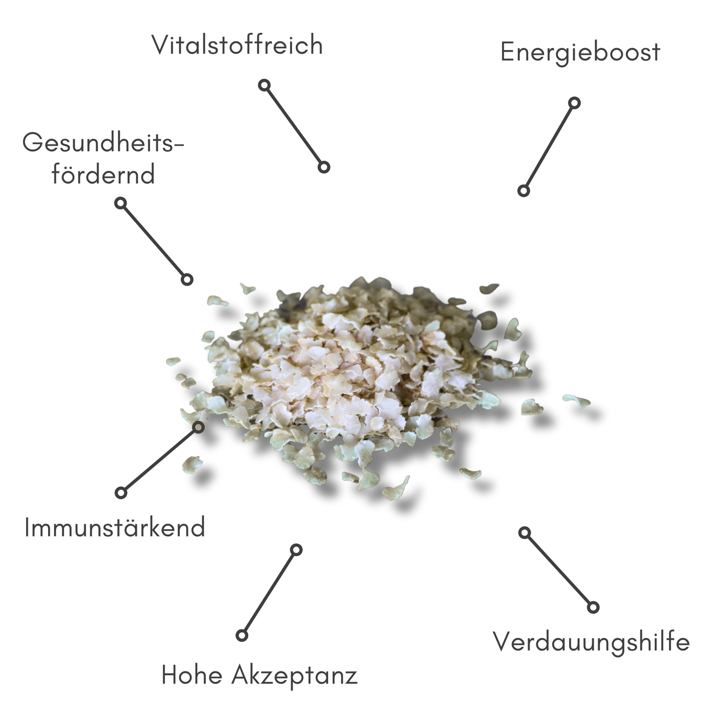 BIOPUR Reis-Flocken