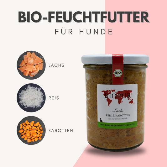 BIOPUR Bio-Feuchtfutter - Lachs, Reis & Karotten für Hunde