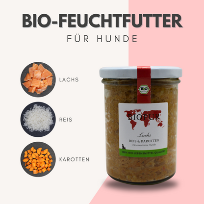 Bio-Alleinfutter - Lachs, Reis & Karotten für Hunde