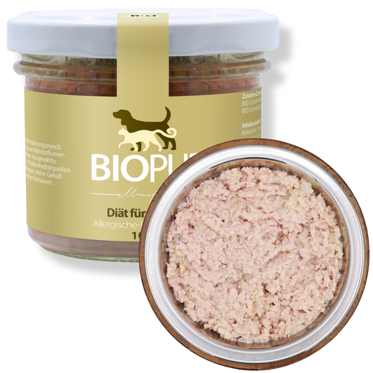 Bio-Diätfutter bei allergischen Erkrankungen für Katzen