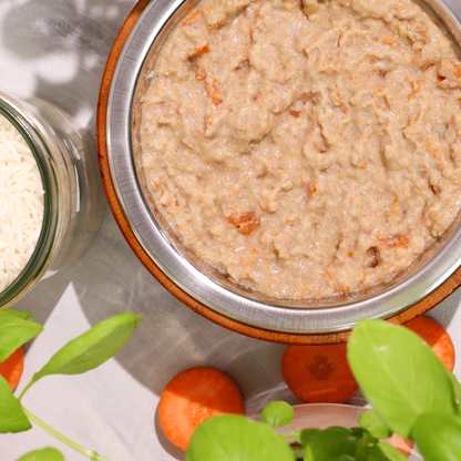Bio-Diätfutter bei Nieren-Erkrankungen für Hunde