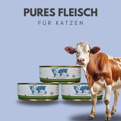 Rind pur Rindmuskelfleisch für Katzen