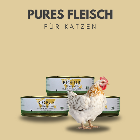 Huhn pur Huhnmuskelfleisch für Katzen