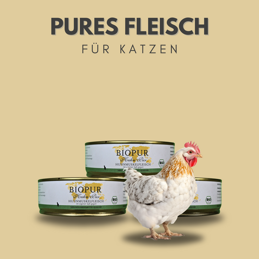 Bio-Alleinfutter Huhn pur für Katzen