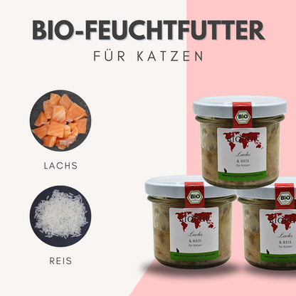 BIOPUR Bio-Katzenfutter Lachs & Reis
