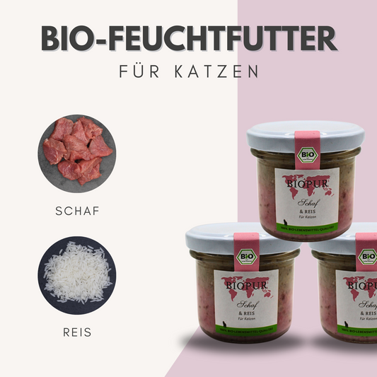 BIOPUR Bio-Katzenfutter Schaf & Reis