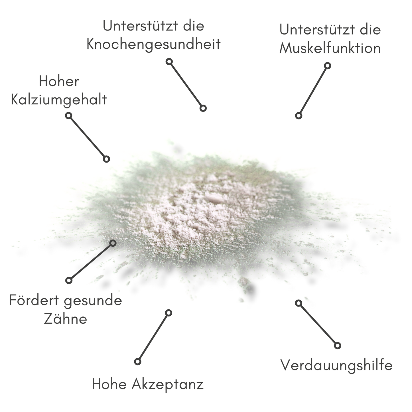 Eierschalen-Pulver - BIOPUR Futterergänzungen