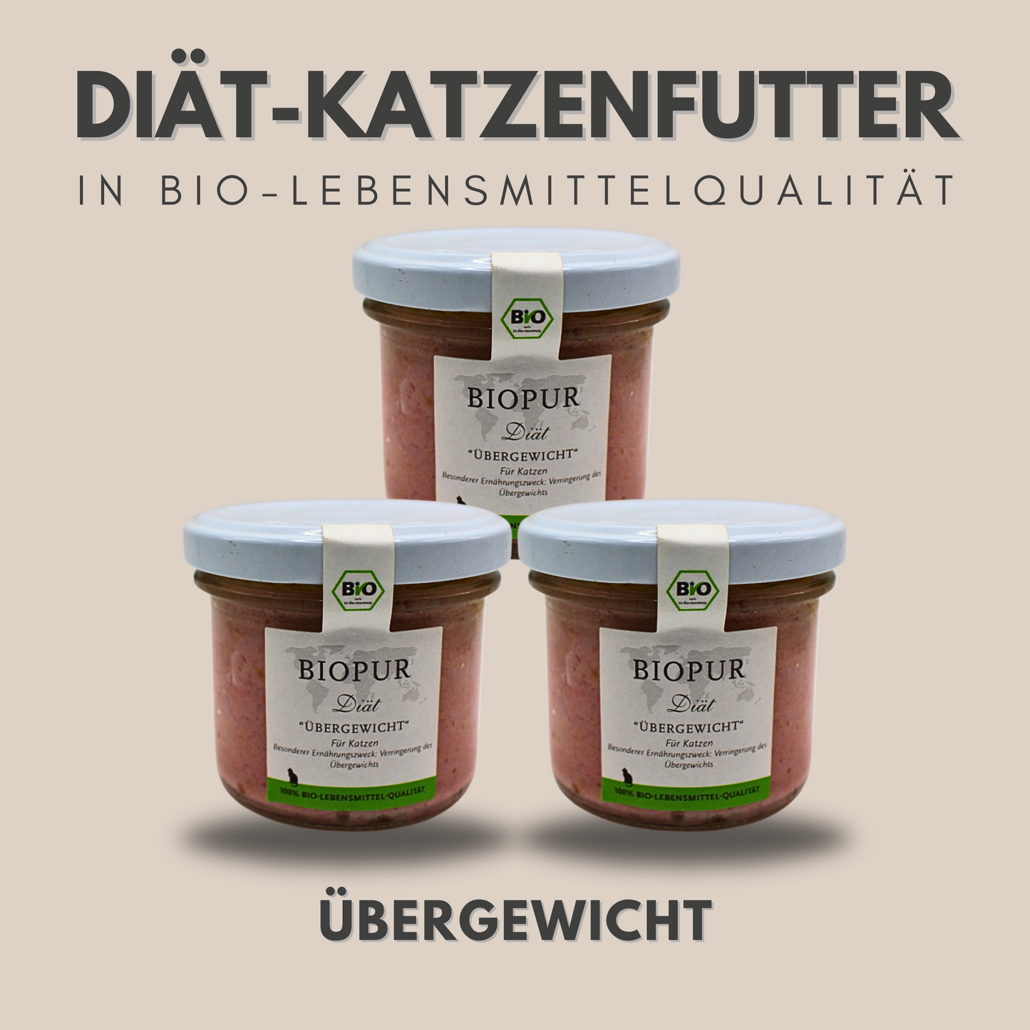 Bio-Diätfutter bei Übergewicht für Katzen